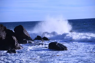 DSC_0601 (Large).JPG